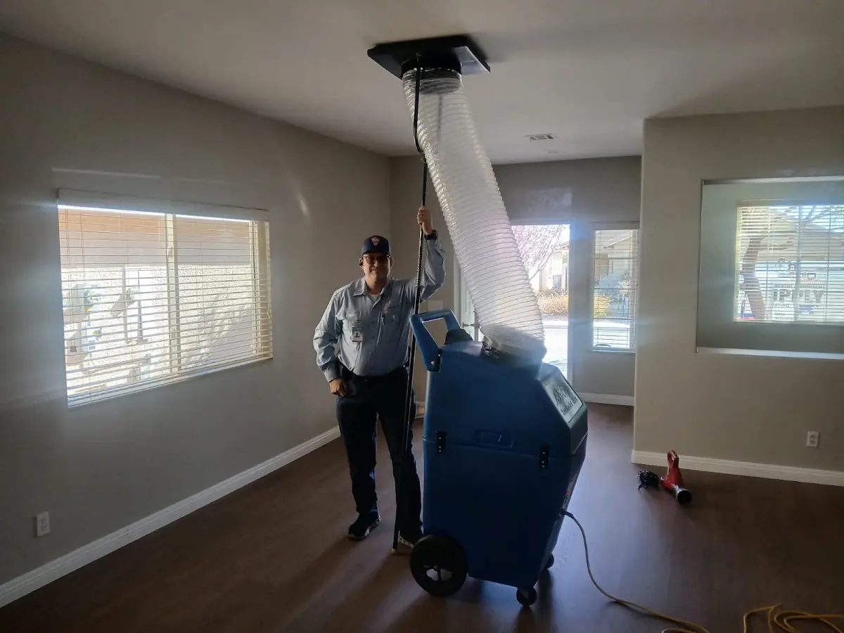 Professional Dryer Vent Cleaning work inside a Berkeley home